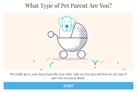 what kind of pet parent are you quiz