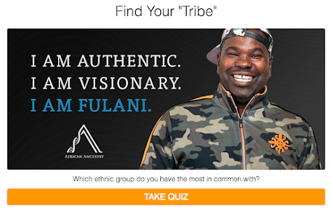 Find your tribe quiz