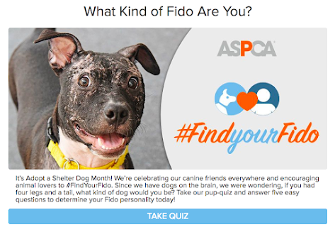 what kind of fido are you